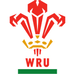 Nuevo Camiseta Wales Rugby 2016-17 Primera replicas